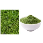Brammi Powder