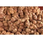 Kacholam | Kaempferia Galanga