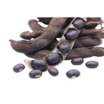 Naikuruna Seed | Mucuna pruriens Seeds