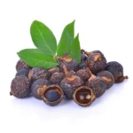 Soap Nut