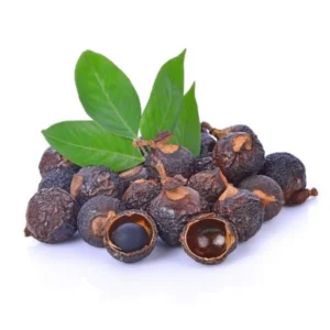 Soap Nut