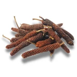 Thippili