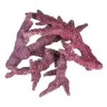 Pavizha Puttu | Pravaala | Corallium Rubrum