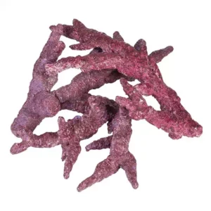 Pavizha Puttu | Pravaala | Corallium Rubrum