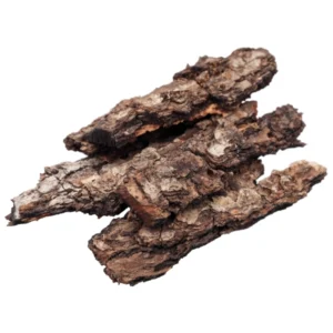 Ashoka Bark (Asoka Tholi) Dried | അശോക തൊലി | Saraca Indica