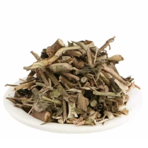 Dashamoolam | Dashamoola