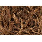 Indian Coleus | Iruveli | Coleus Vettiveroides Root