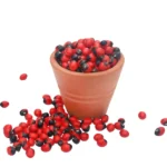 Kunnikuru | Abrus Precatorius