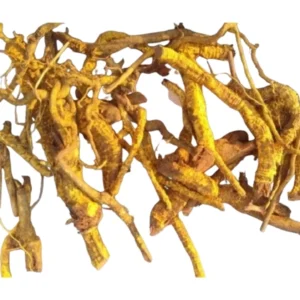 Natural Saptarangi | Ponkoranti | പൊൻകൊരണ്ടി | Salacia Oblonga