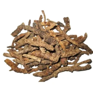 Picrorhiza Kurroa | Kadugurohini | Kutki Root (Raw) -100g